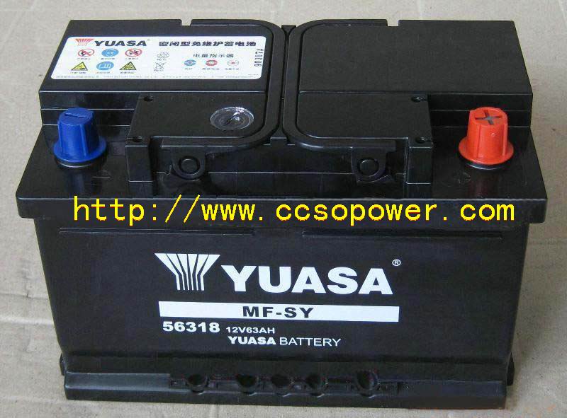 ���\��S�o(h��)��늳�56318,12V63AH