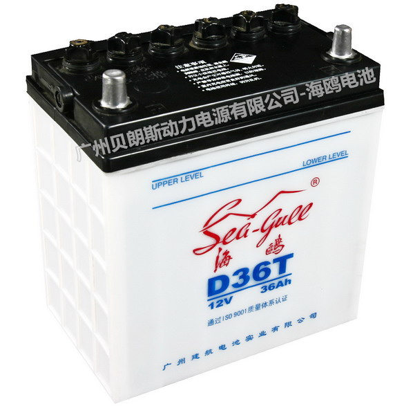 ���t��늳�D36T,12V36AH