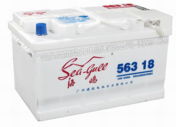 ���t��܇��늳�56318,12V63AH